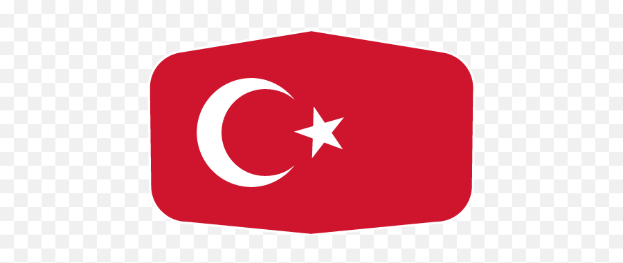 Winner Bracket Fifae Nations Cup 2021 - Turkey Emoji Flag Png,Emojis Copa America