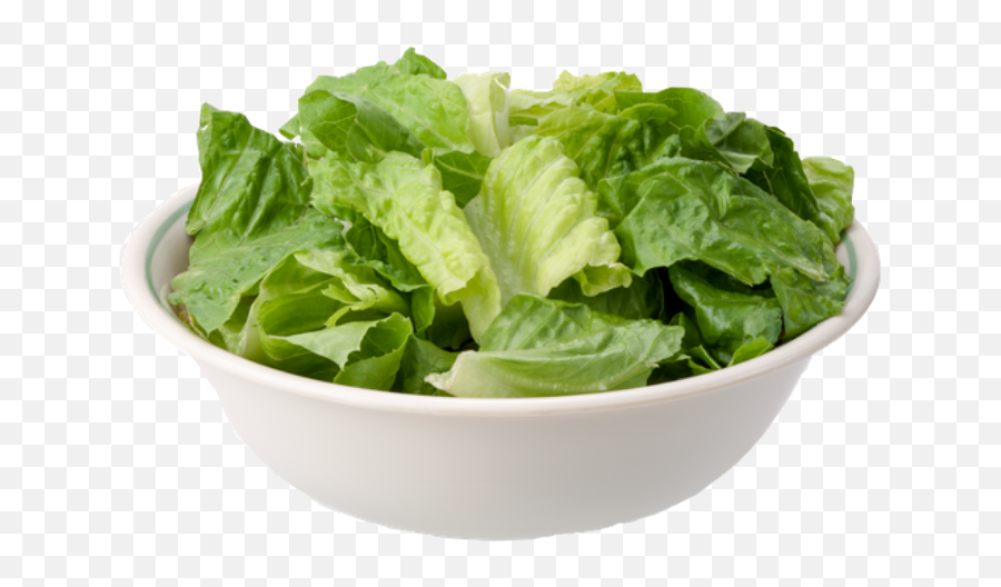 Bowlofleccuce Bowl Lettuce Sticker - Romaine Lettuce In A Bowl Emoji,Lettuce Emoji