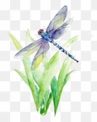 Blue And Purple Dragonfly Illustration - Watercolor Dragonfly Png Emoji,Dragonfly Emoji