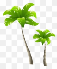 Palm Tree Free To Use Cliparts - Tall Tree And Short Tree Clipart Emoji,Emoji Coconut Tree And Book