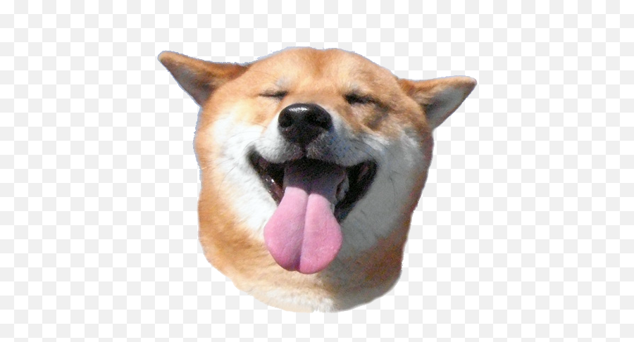 Dogecoin Transparent Png - Shiba Inu Head Transparentt Emoji,Shibe Emoji