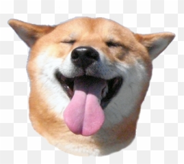 Dogecoin Transparent Png - Shiba Inu Head Transparentt Emoji,Shibe Emoji