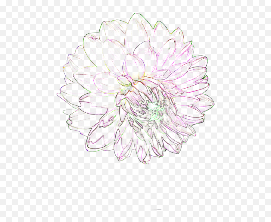 Download Transparent Flowers Tumblr Png Png U0026 Gif Base - Png White Flower Emoji,Tumblr Flower Girl Emoticon