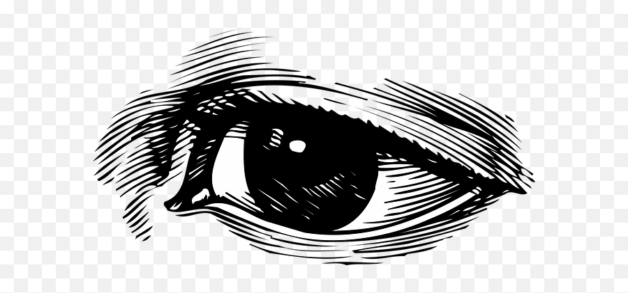 300 Free Observes U0026 Mindfulness Illustrations - Pixabay Eye Vintage Png Emoji,Eyeball And Black Heart Emojis