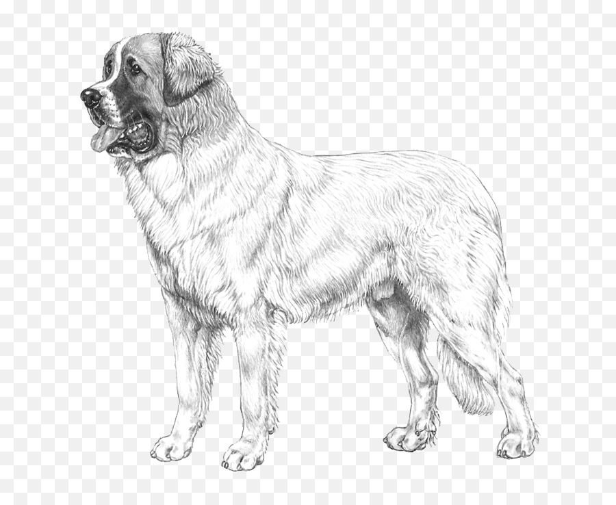 Dog Breed Info - Northern Breed Group Emoji,Caucasian Mountain Shepherd Puppy Emoticon