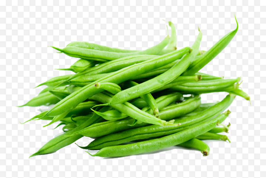 Plant Clipart String Bean Plant String - French Beans Emoji,Green Bean Emoji