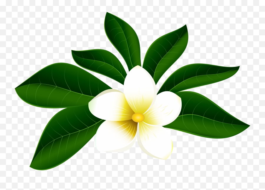 Transparent Background Tropical Flower - Transparent Background Tropical Flower Png Emoji,Tropical Flower Emoji