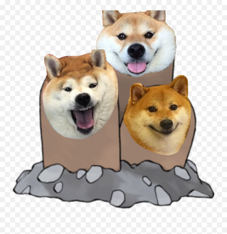 Shibe Shibenation Meme Pokemon Image - Pokemon Diglett Emoji,Shibe Emoji