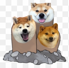 Shibe Shibenation Meme Pokemon Image - Pokemon Diglett Emoji,Shibe Emoji
