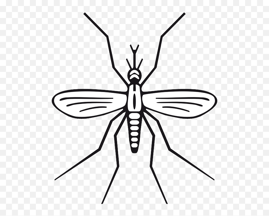 Cause - Clip Art Of Mosquito Emoji,The Ethics And Emotion Tok