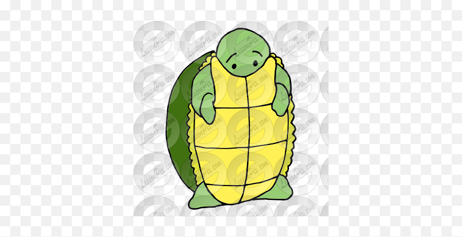Scared Turtle Picture For Classroom - Box Turtles Emoji,Tucker Turtle Emojis