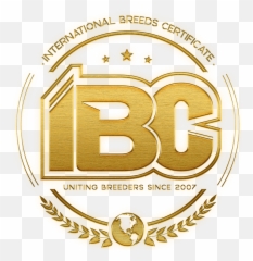 About U2013 Ibc - Logo Ibc Emoji,Dog Ptbull Emojis