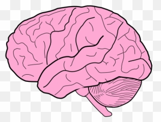 Thinking Emoticon - Clip Art Library Cartoon Transparent Background Brain Emoji,Brain Emoticon
