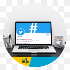 Social Media Archivos Page 2 Of 5 Blucactus Digital Emoji,How Do You Put An Emoji In Your Twitter Bio