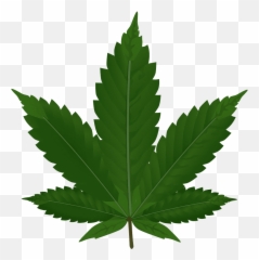 Cupcake Cakes Cake Decorating - Clip Art Marijuana Leaf Cartoon Emoji,Marawana Leaf Emoji