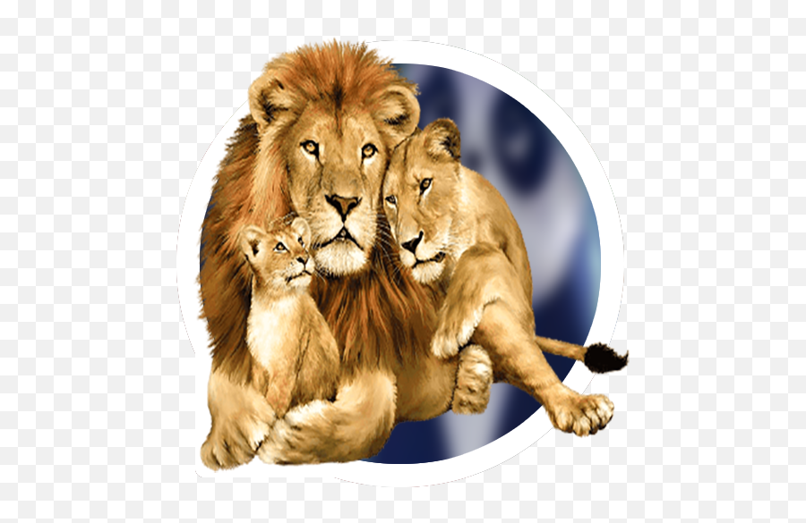 Animal Stickers Packs - Lion And Lioness Animated Emoji,Emoji De Caracoles