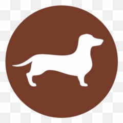 320 Ideas De Dachshund - Dachshund Emoji,Emoji De Pasear Perro