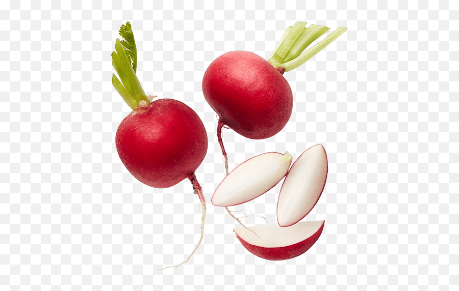 Root And Stem Vegetables - Be Fresh Produce Emoji,Beatroot Emoji