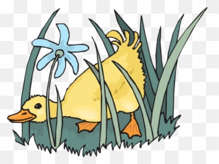 Duckling Baby Bird - Ducks In Grass Clipart Emoji,Baby Duck Emoji