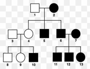 Mendelian Inheritance Of - Dot Emoji,Emoji Cheats Level 13