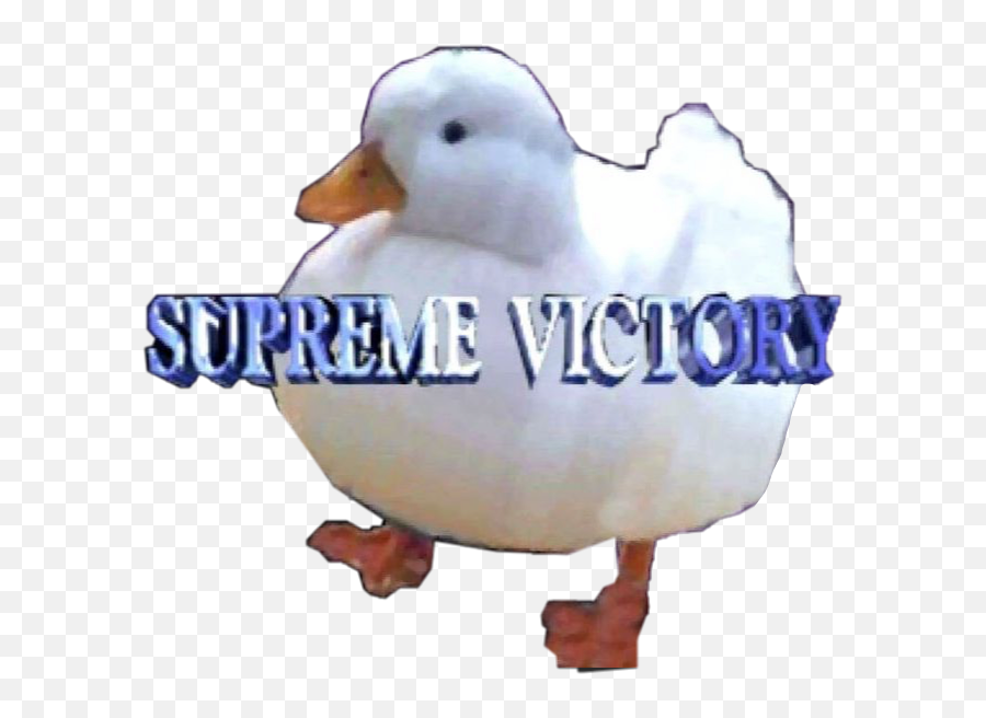 Packerthings Duck Sticker By Riley - Supreme Victory Duck Png Emoji,Duck Emoji Whatsapp