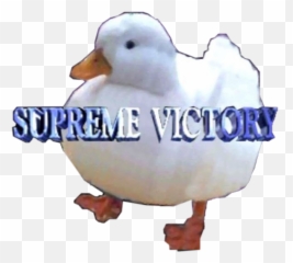 Packerthings Duck Sticker By Riley - Supreme Victory Duck Png Emoji,Duck Emoji Whatsapp
