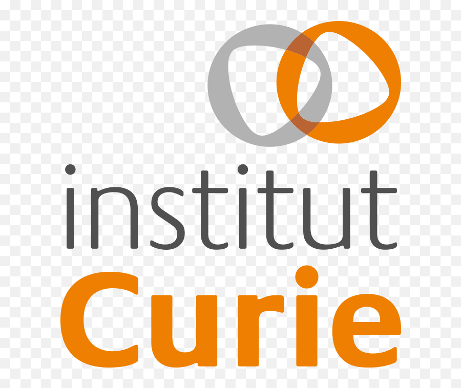 Openings For Group Leaders In Innovative Biology - Academic Institut Curie Emoji,Molecules Of Emotion Flipkart