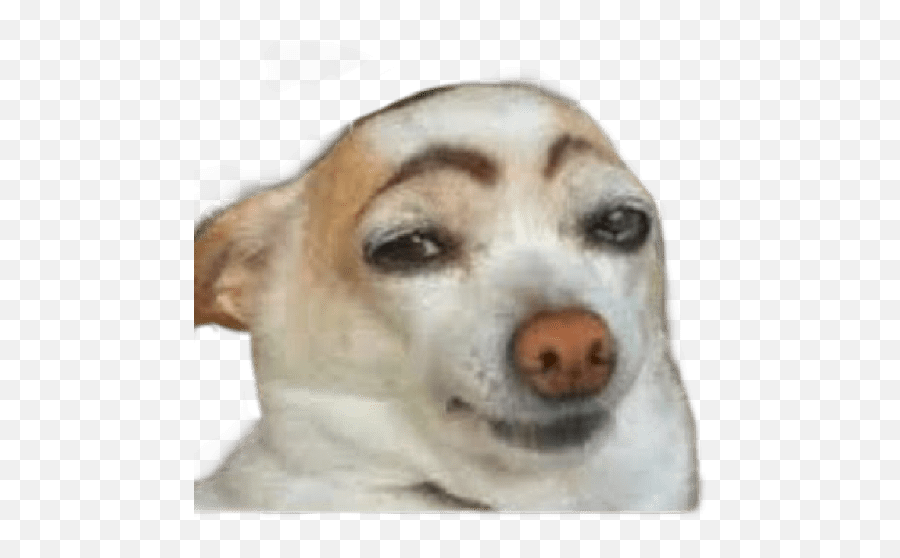 Hol - Doggo With Eyebrows Emoji,Silly Dog Emoticons