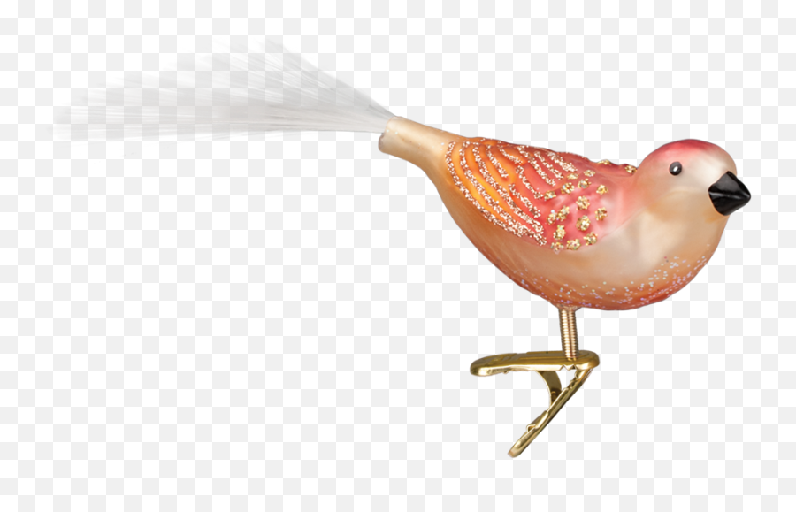 Old World Christmas Just Peachy Song Bird Glass Ornament - Putti Fine Furnishings Emoji,Christmas Song Emoji