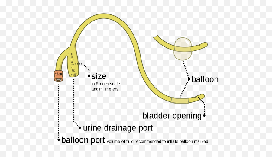 Can An Er Tech Insert A Foley Catheter - Foleys Catheter Parts Emoji,Masculine Emotion Practice In Nursing