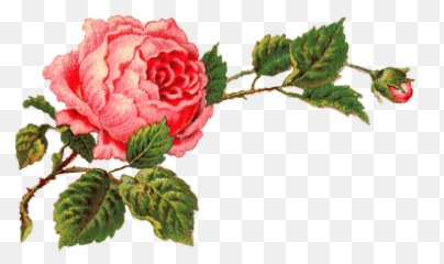 Victorian Vintage Roses On A Branch Png Hd Transparent Emoji,Victorian Emojis
