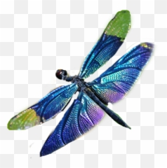 Dragonfly Sticker - Dragonfly Emoji,Dragonfly Emoji