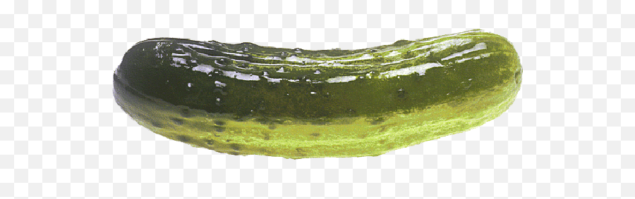 Pickle Transparent Free Pickle - Siegmeyer Of Catarina Meme Emoji,Pickle Rick Emoji