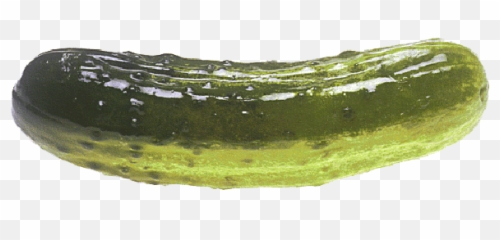 Pickle Transparent Free Pickle - Siegmeyer Of Catarina Meme Emoji,Pickle Rick Emoji