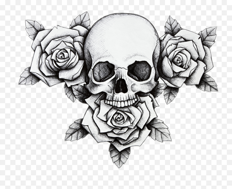 Skull Flower Rose Dead Sticker - Skull And Roses Drawing Emoji,Flower Vs Footprints Skull Emoji