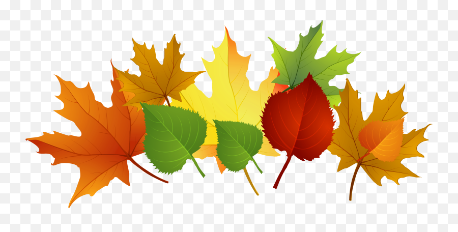 Leaf Fall Clip Art Autumn Clip Art Leaves Clip Art Clipart 3 - Fall Leaves Falling Clipart Emoji,Fall Emoji
