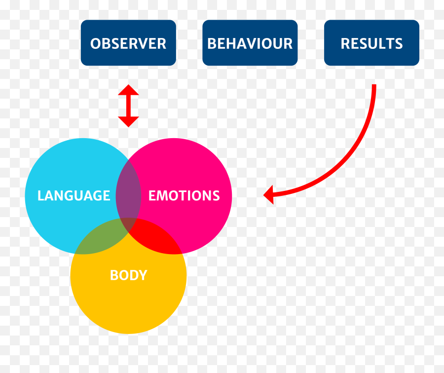 Way Of Being Five Lens Academy Emotions Lecture Academy - Vertical Emoji,Five Emotions