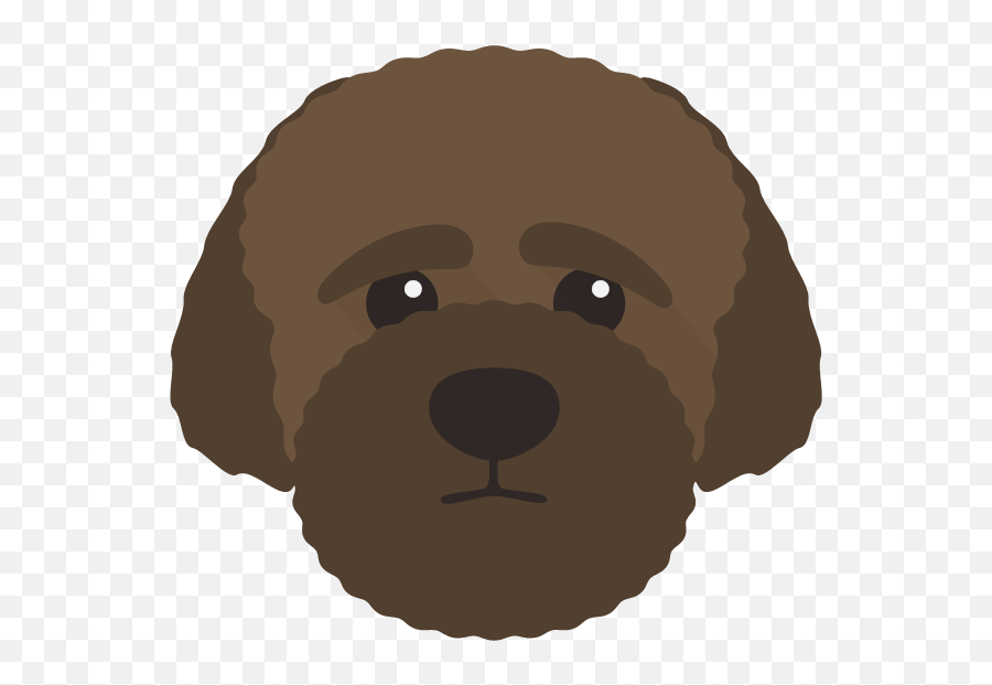 Create A Tailor - Made Shop Just For Your Lagotto Romagnolo Curly Emoji,Birthday Dog Emoticon