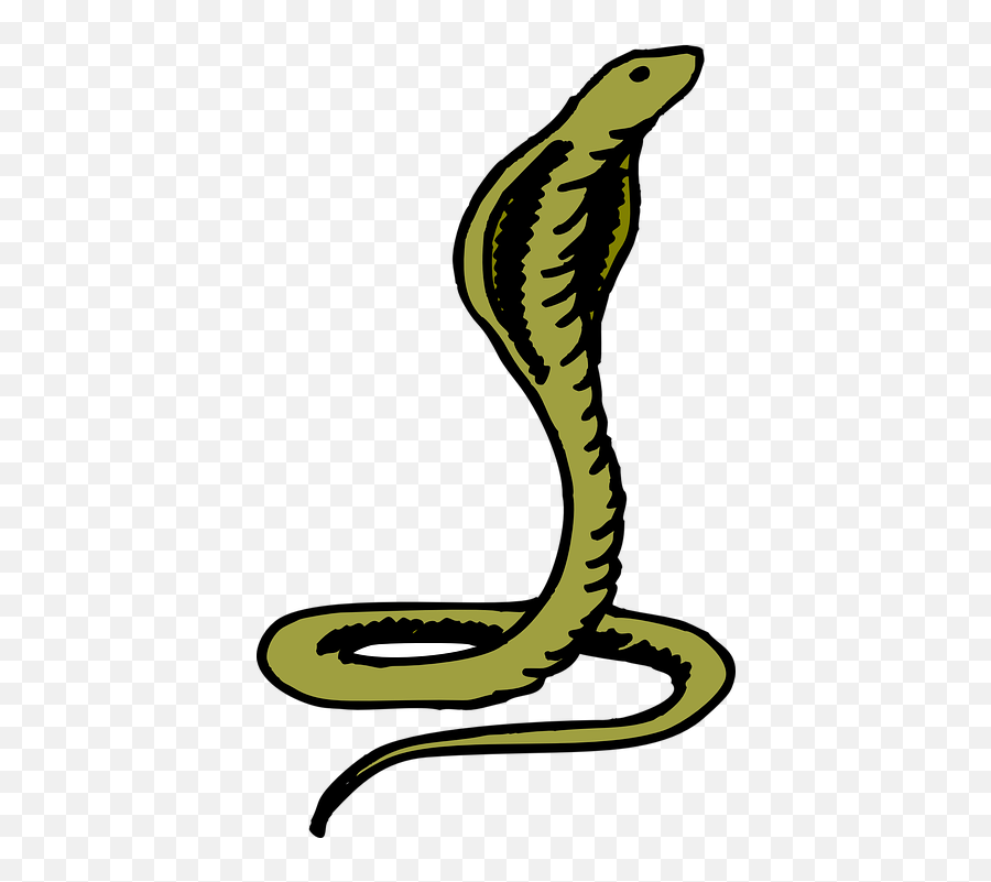 Cobra Head Green - Free Vector Graphic On Pixabay Curled Cobra Emoji,Snake Emoji Front View