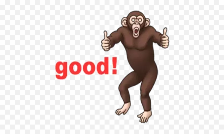 Monkeys Stickers For Whatsapp - Ugly Emoji,Monkey Gif Emoticon Pack