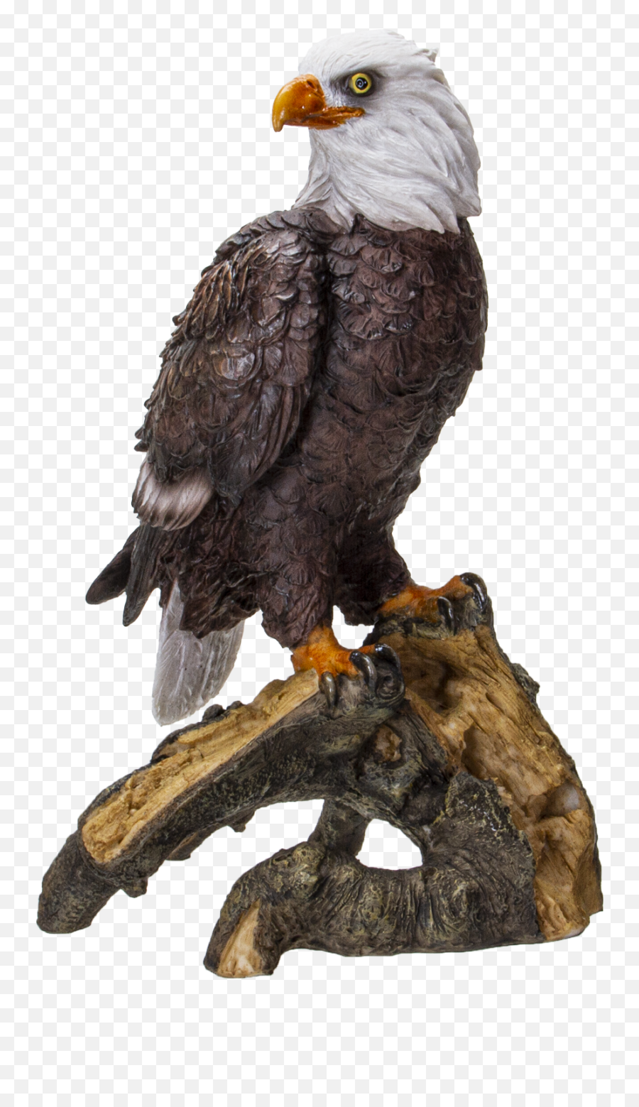 American Eald Eagle Perching - Bald Eagle Emoji,Eagle Emoticon Ipad