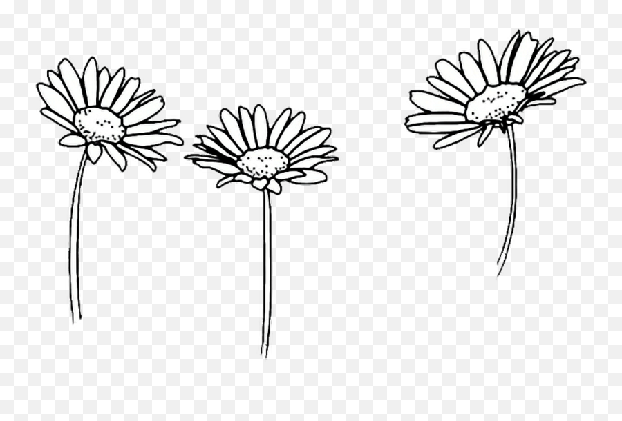 Amazing Flower Tumblr Castrophotos Clipart - Full Size Daisy Png Black And White Emoji,Tumblr Flower Emoji
