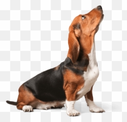 Blog - Nextstepenglishcom Emoji,Emoticon For Listless