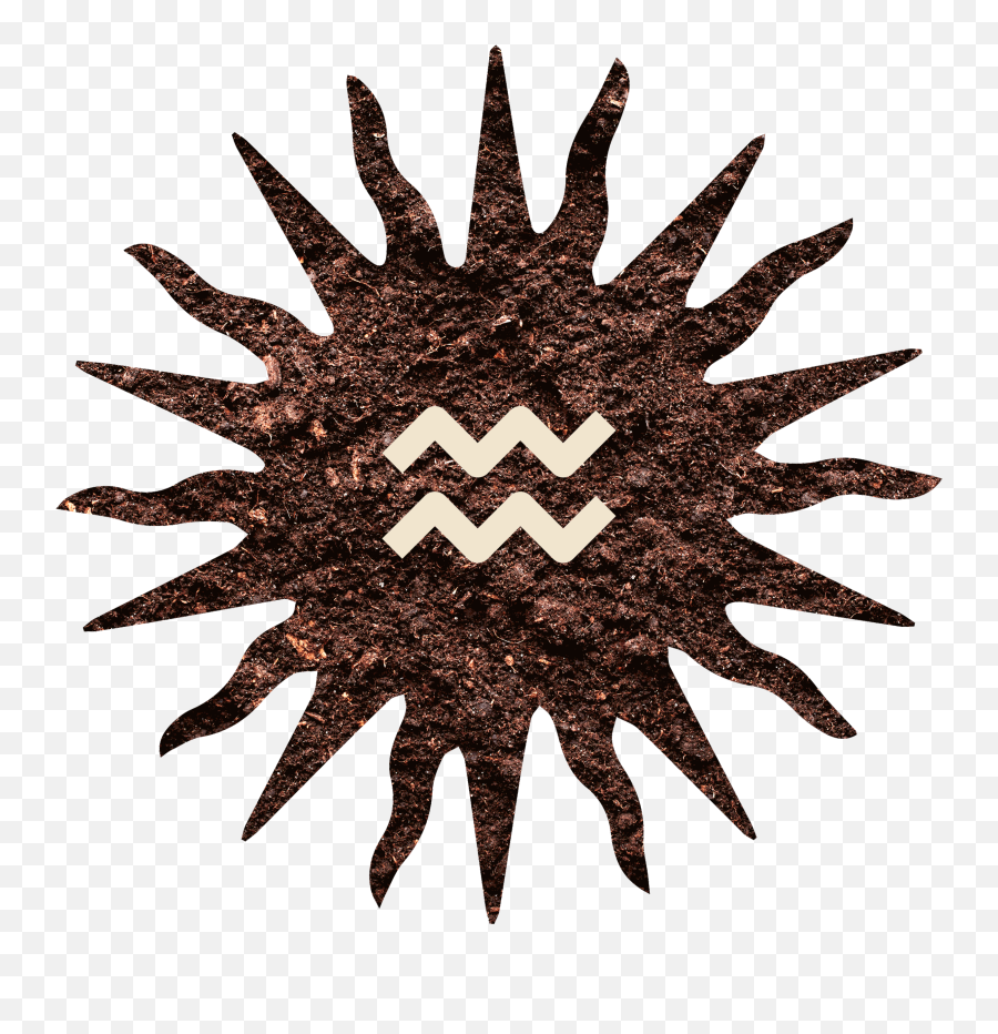 Primo Botanica Chocolate Emoji,Cacao Emoji