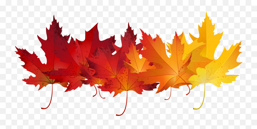 Autumn Leaves Transparent - Transparent Autumn Leaves Emoji,Fall Leave Emoji