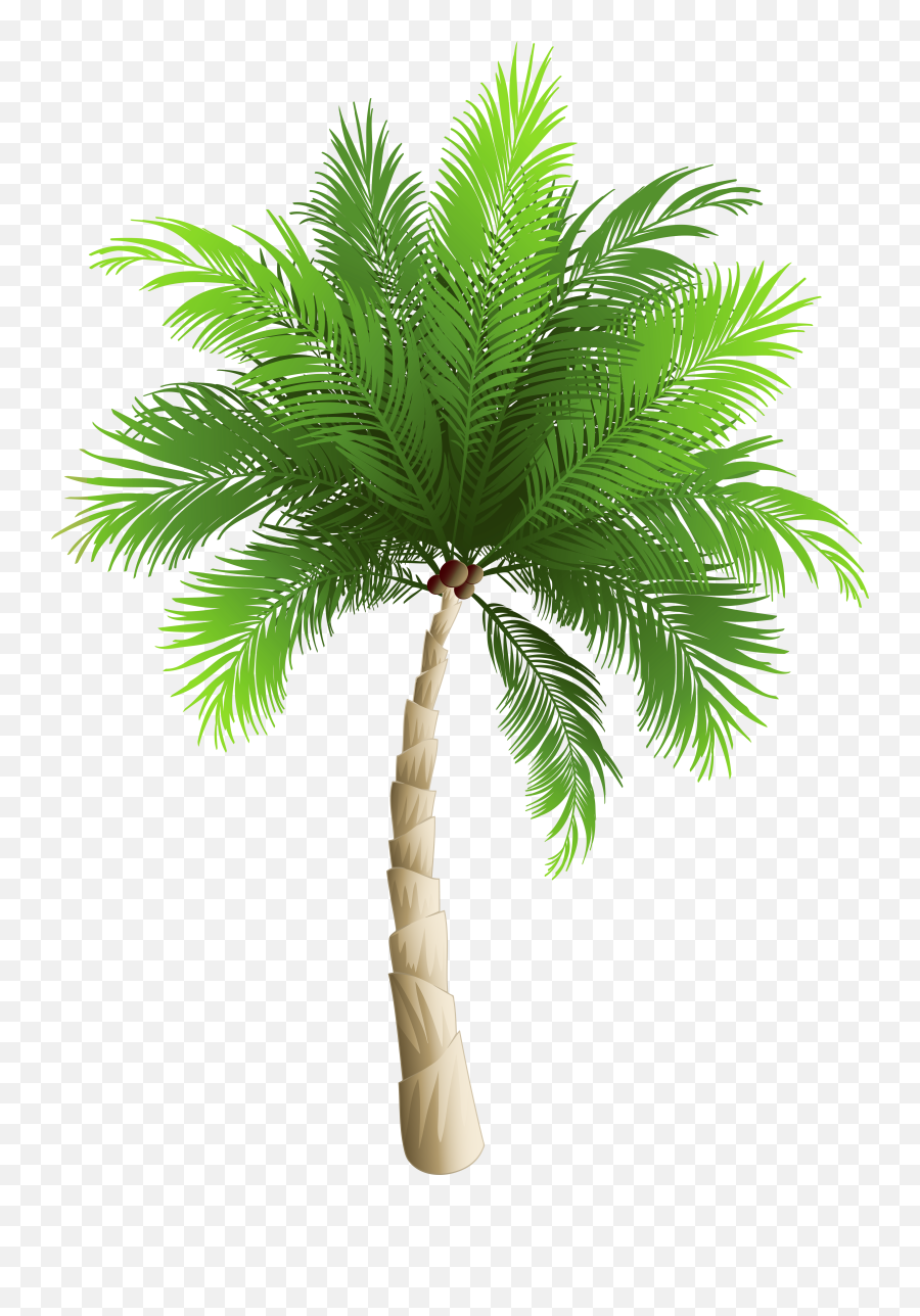 Emoji Clipart Palm Tree Emoji Palm Tree Transparent Free - Palm Tree Png Hd,Palm Emoji