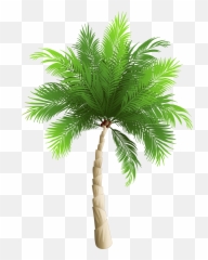 Emoji Clipart Palm Tree Emoji Palm Tree Transparent Free - Palm Tree Png Hd,Palm Emoji