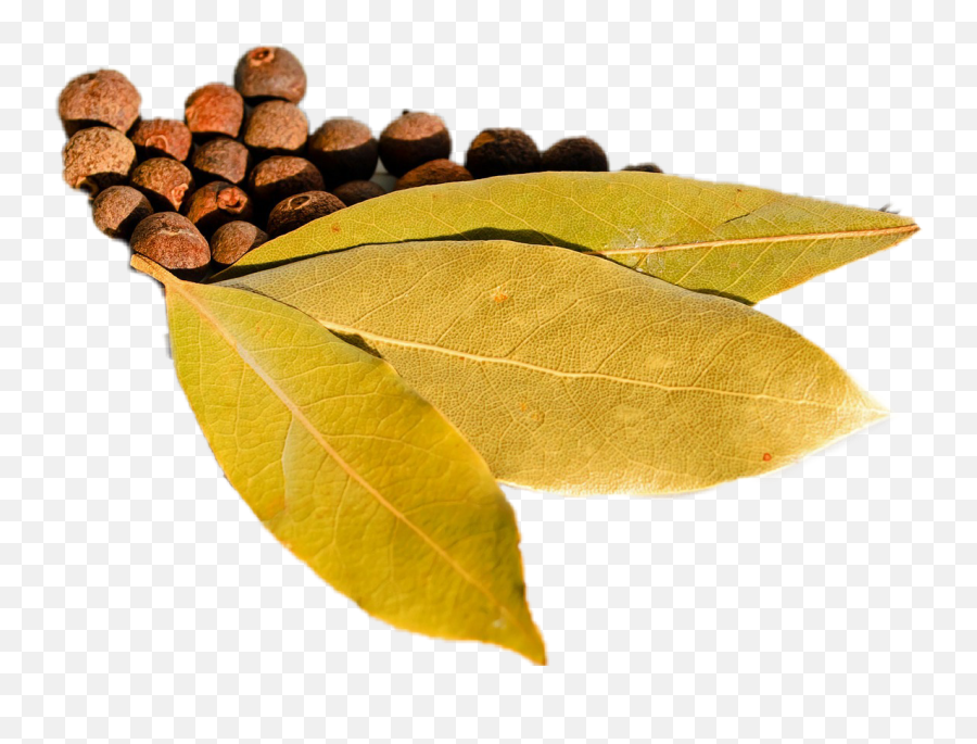 The Most Edited Spices Picsart - Bay Leaf Emoji,Emojis Spicey