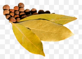 The Most Edited Spices Picsart - Bay Leaf Emoji,Emojis Spicey