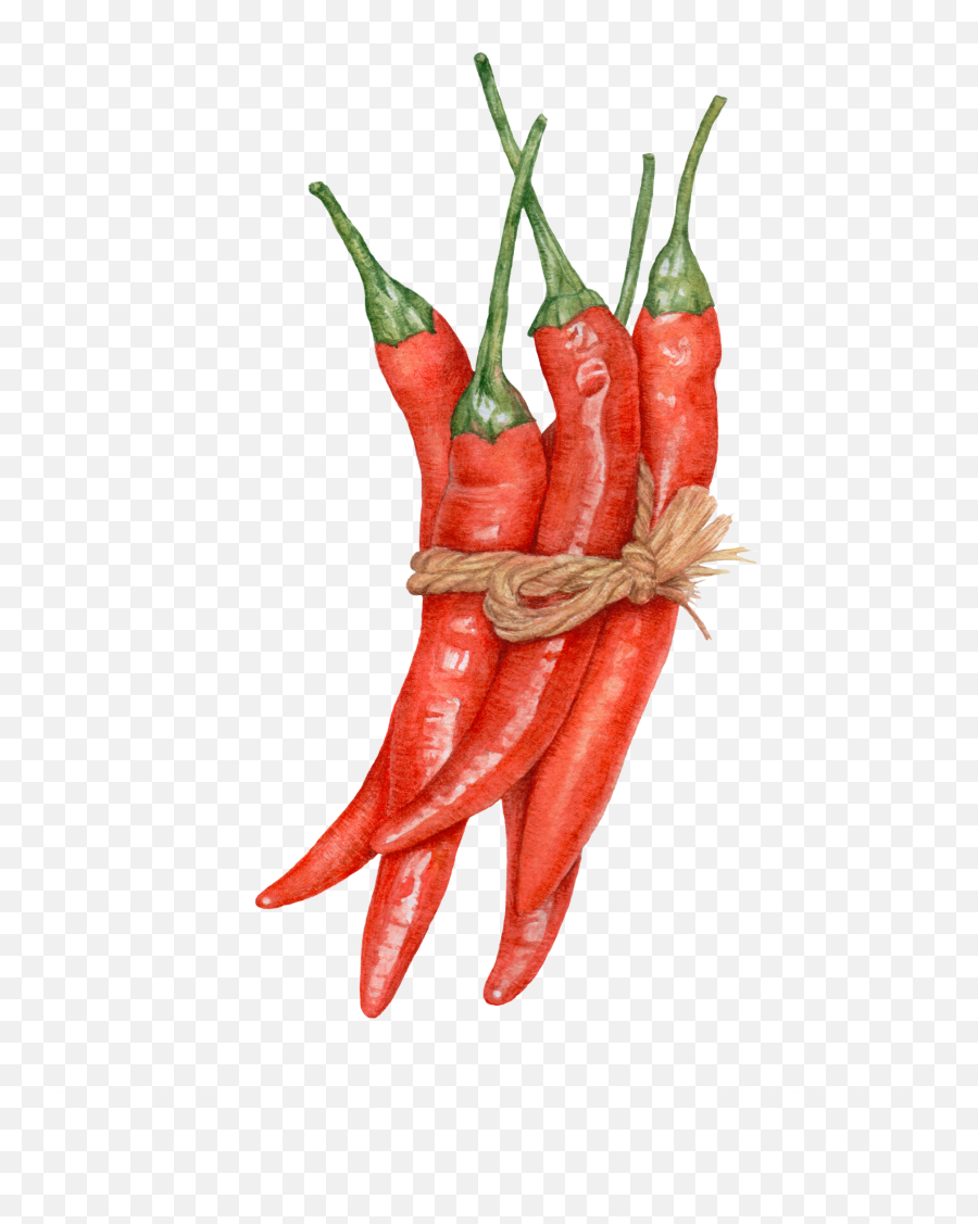 Popular And Trending Picante Stickers Picsart - Drawing Of Chilli Pepper Emoji,Chili Emoji